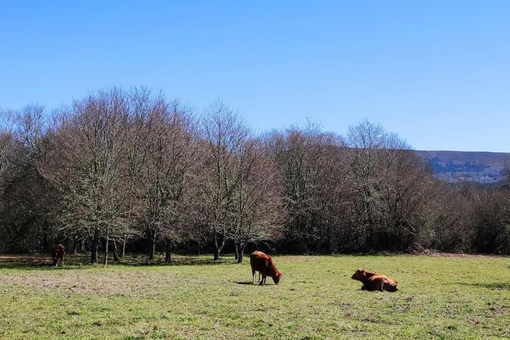 Casa Carmina: Casa Para Pequenos Grupos En El Corazon De Galicia O Irixo Exteriör bild