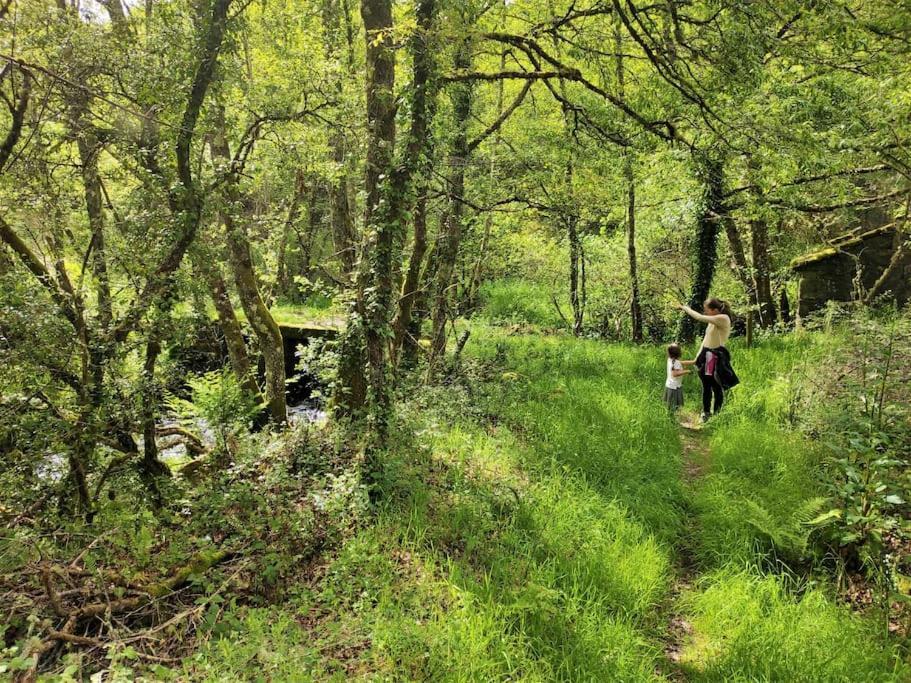 Casa Carmina: Casa Para Pequenos Grupos En El Corazon De Galicia O Irixo Exteriör bild