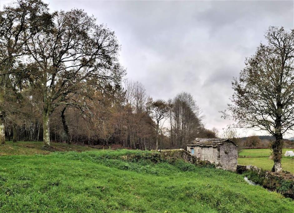 Casa Carmina: Casa Para Pequenos Grupos En El Corazon De Galicia O Irixo Exteriör bild