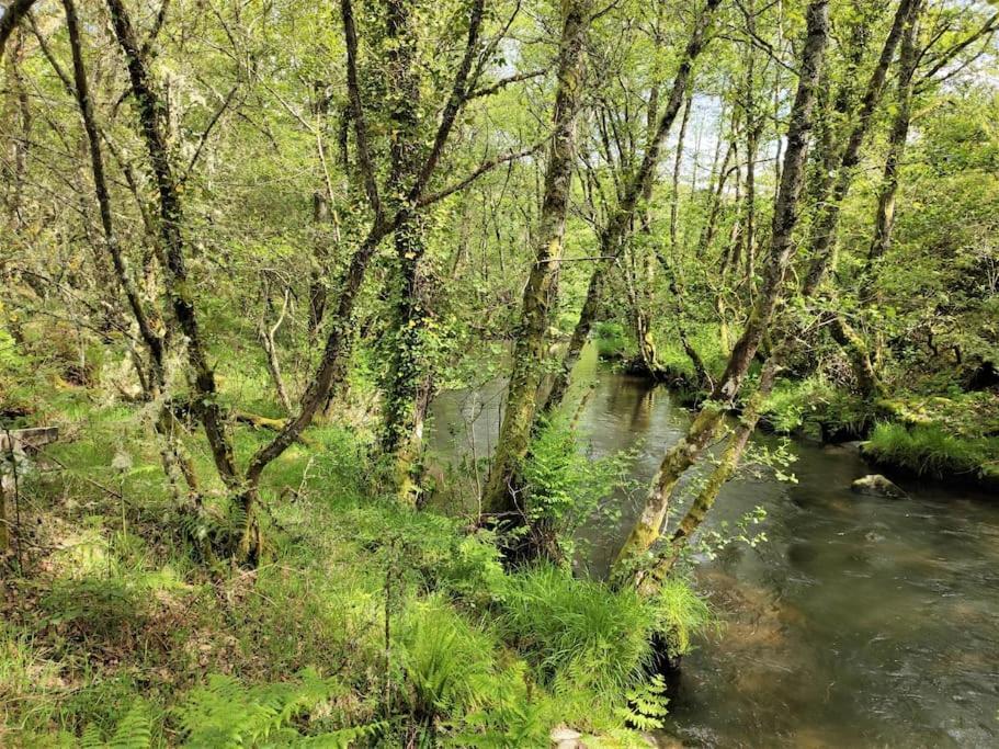 Casa Carmina: Casa Para Pequenos Grupos En El Corazon De Galicia O Irixo Exteriör bild