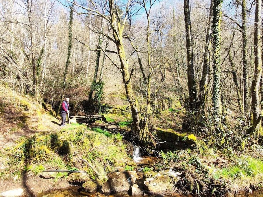 Casa Carmina: Casa Para Pequenos Grupos En El Corazon De Galicia O Irixo Exteriör bild