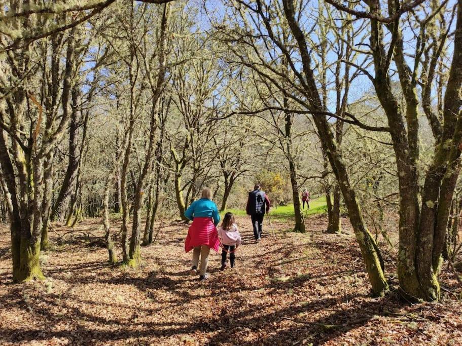 Casa Carmina: Casa Para Pequenos Grupos En El Corazon De Galicia O Irixo Exteriör bild